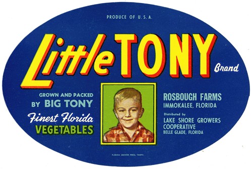 Little Tony Brand Vegetable Label