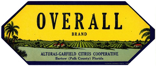 Overall Brand Citrus Label
