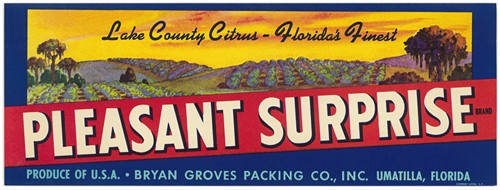 Pleasant Sunrise Brand Citrus Label