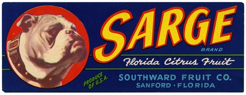 Sarge Brand Florida Citrus Fruit Label