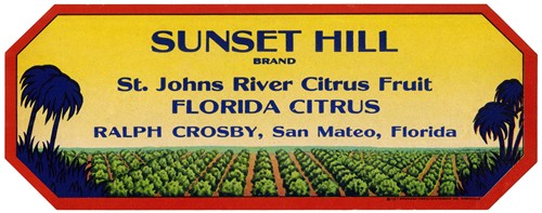Sunset Hill Brand Florida Citrus Label