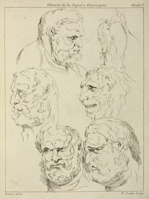 Studies of the head of a bearded man, and the head of a creature
