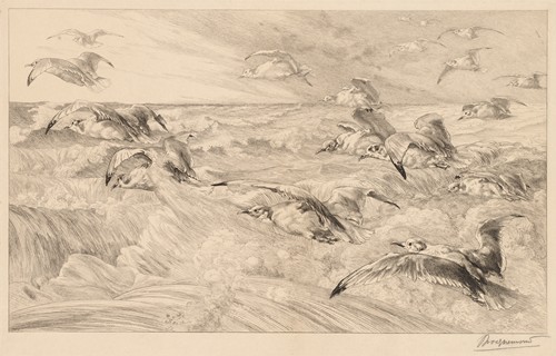 Seagulls (Les Mouettes)
