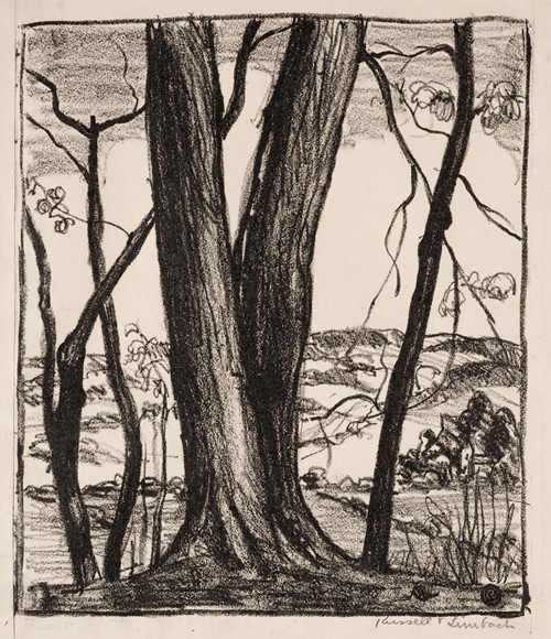 The Hilltop