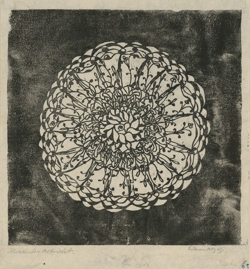 Pflanzen und Pflanzenornament (Rosette)