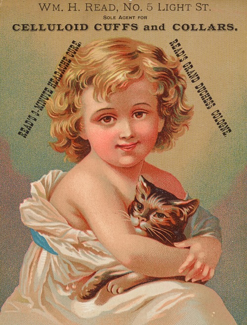 William H. Read, Sole Agent for Celluloid Cuffs and Collars