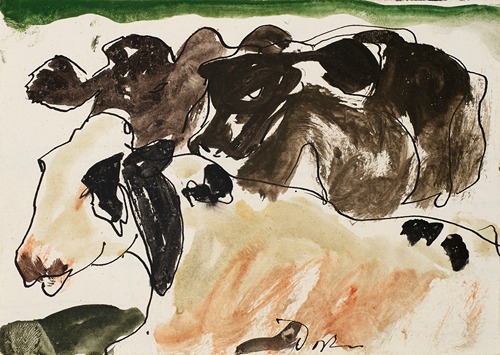 Cows