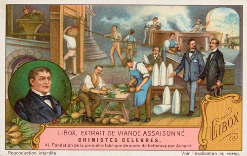Trade card for Libox, Extrait de Viande Assaisonné with Franz Karl Achard