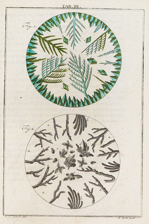 Amusement microscopique tant pour l’esprit, que pour les yeux Pl.004
