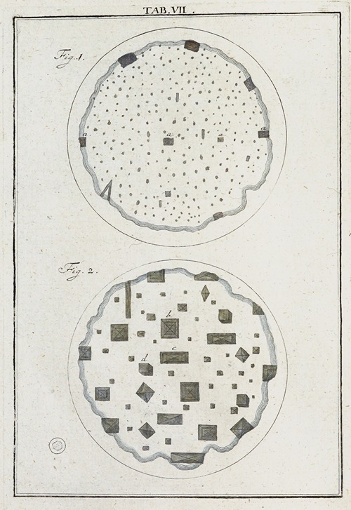 Amusement microscopique tant pour l’esprit, que pour les yeux Pl.008