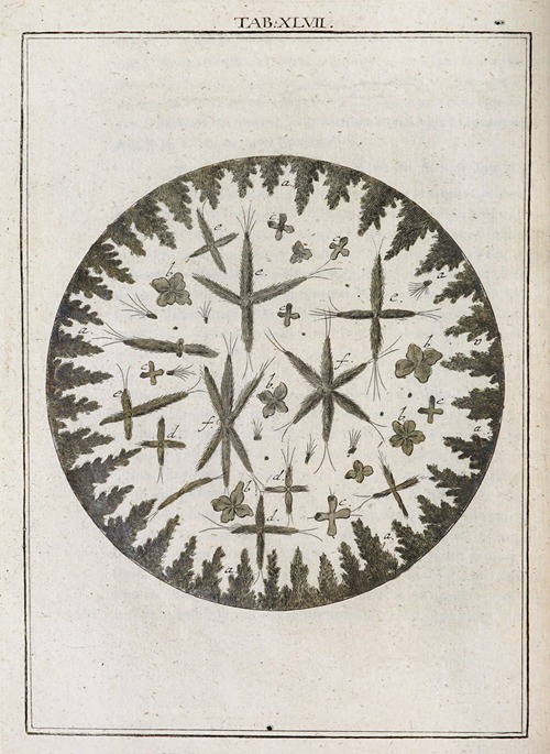 Amusement microscopique tant pour l’esprit, que pour les yeux Pl.047