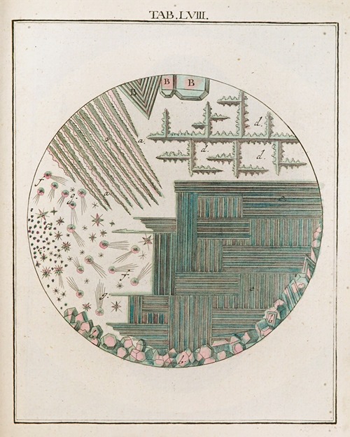 Amusement microscopique tant pour l’esprit, que pour les yeux Pl.058