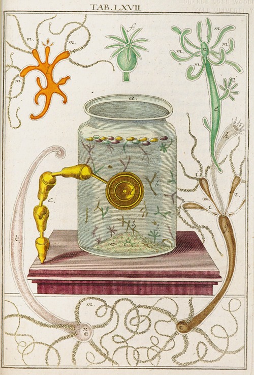 Amusement microscopique tant pour l’esprit, que pour les yeux Pl.067