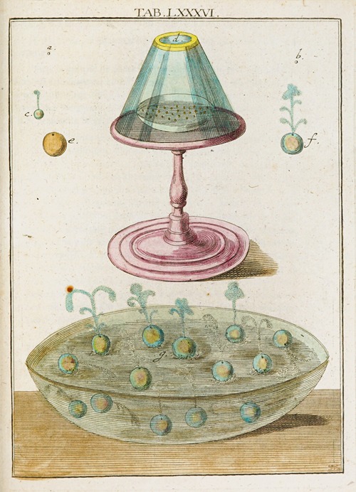 Amusement microscopique tant pour l’esprit, que pour les yeux Pl.086