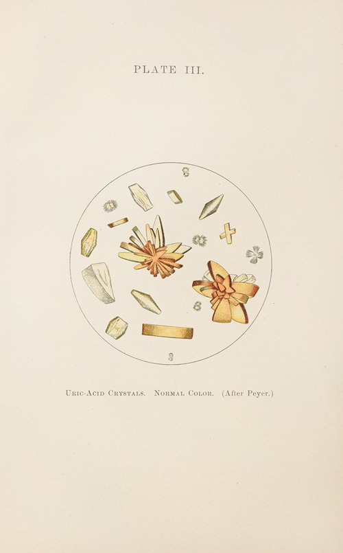 Plate III: Uric-Acid Crystals (Normal Color)