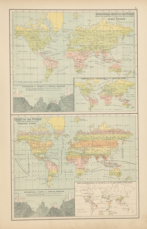 Zoological chart of the world shewing the distribution of some of the principal members of the animal kingdom