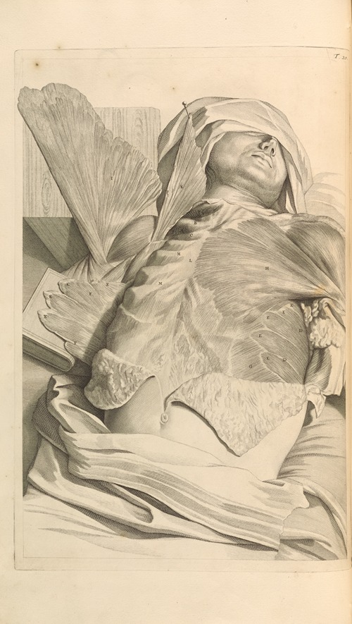 Anatomia humani corporis Pl.021