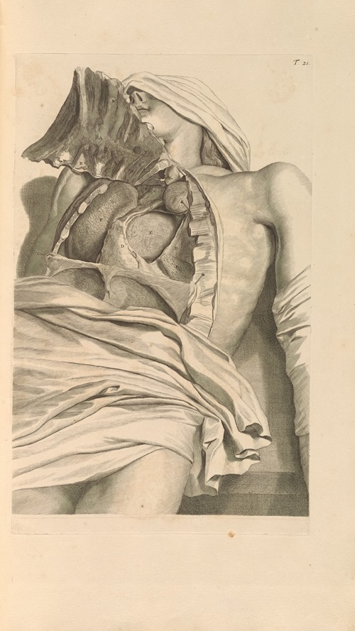 Anatomia humani corporis Pl.022