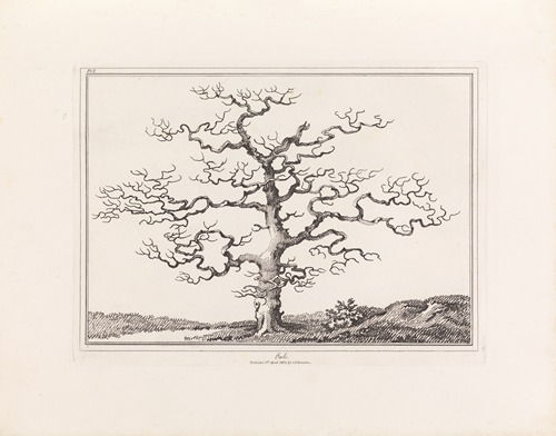 An essay on trees in landscape