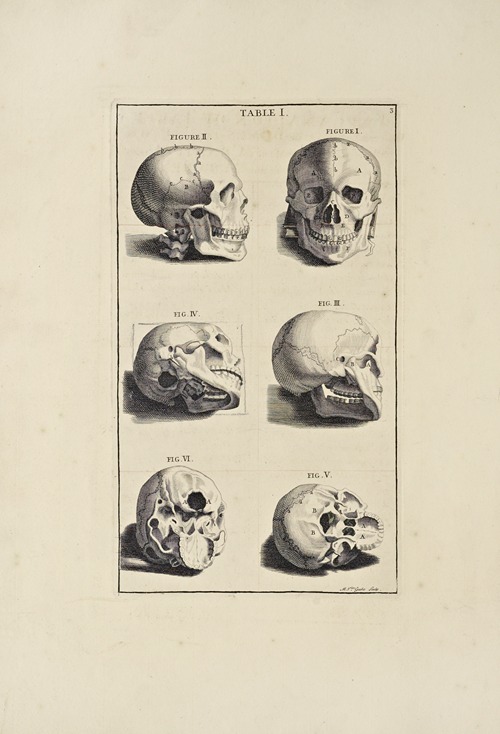Anatomy improv’d and illustrated with regard to the uses thereof in designing Pl.01