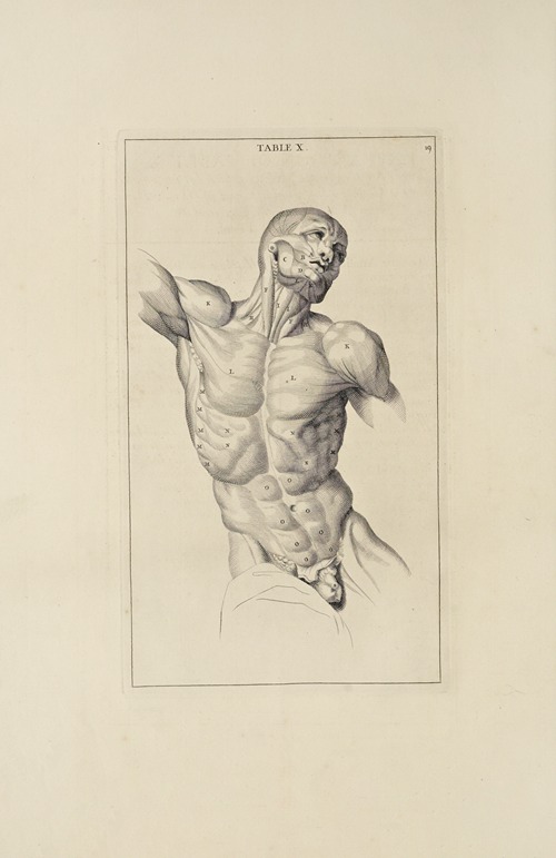 Anatomy improv’d and illustrated with regard to the uses thereof in designing Pl.10