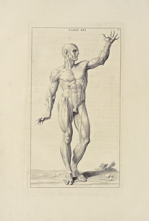 Anatomy improv’d and illustrated with regard to the uses thereof in designing Pl.21