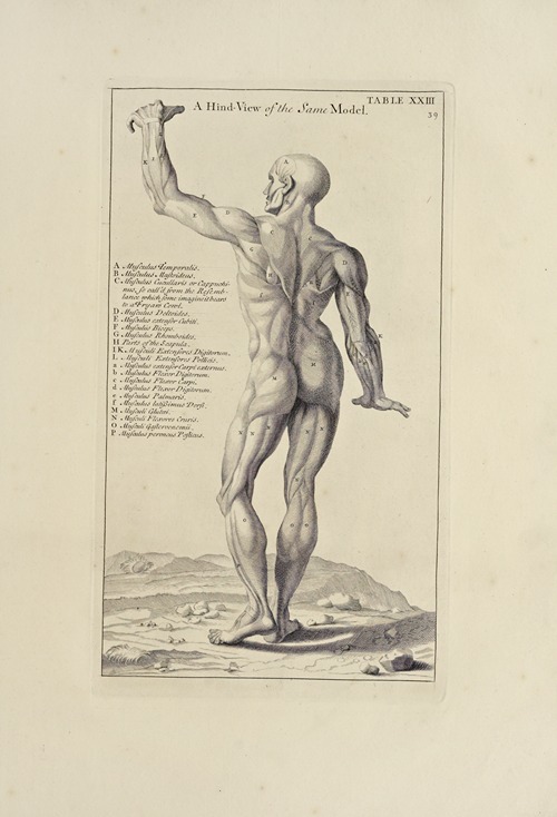 Anatomy improv’d and illustrated with regard to the uses thereof in designing Pl.23