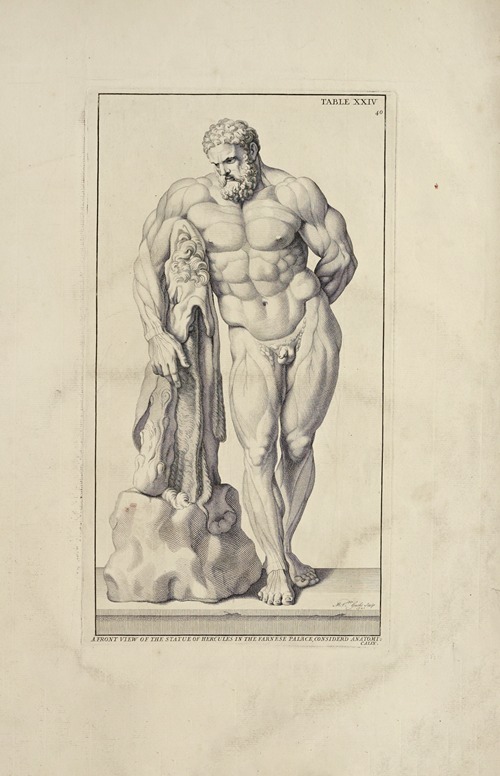 Anatomy improv’d and illustrated with regard to the uses thereof in designing Pl.24