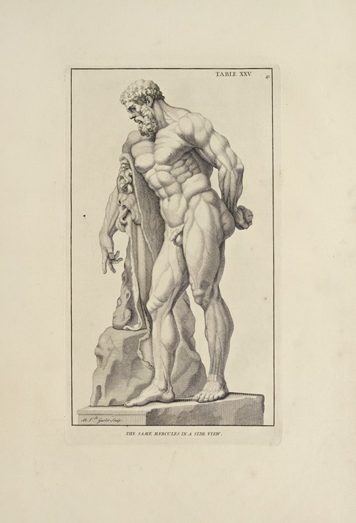 Anatomy improv’d and illustrated with regard to the uses thereof in designing Pl.25