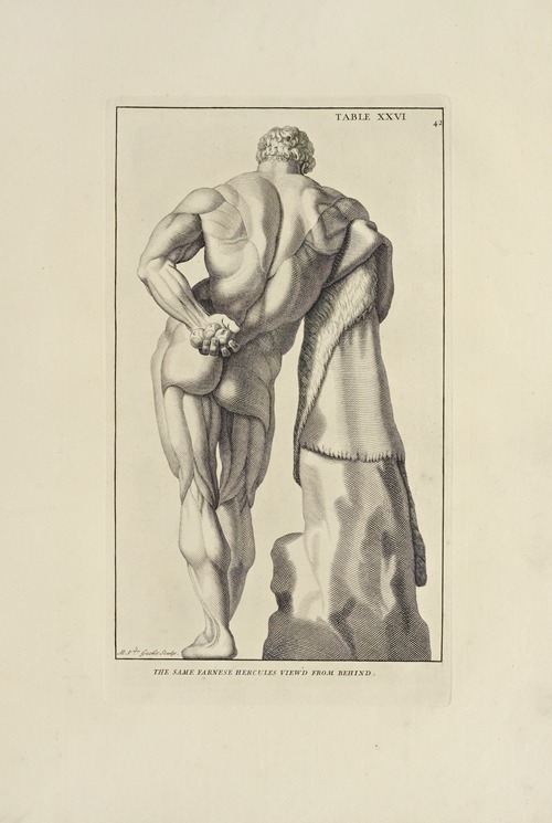 Anatomy improv’d and illustrated with regard to the uses thereof in designing Pl.26
