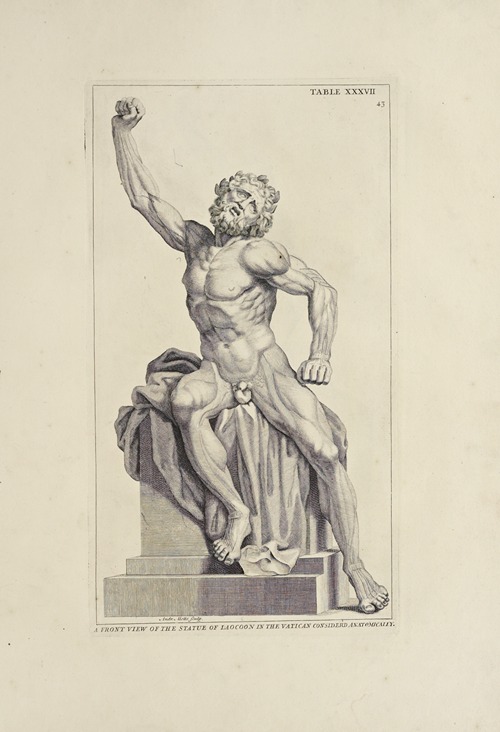 Anatomy improv’d and illustrated with regard to the uses thereof in designing Pl.27