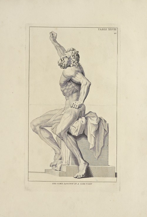 Anatomy improv’d and illustrated with regard to the uses thereof in designing Pl.28