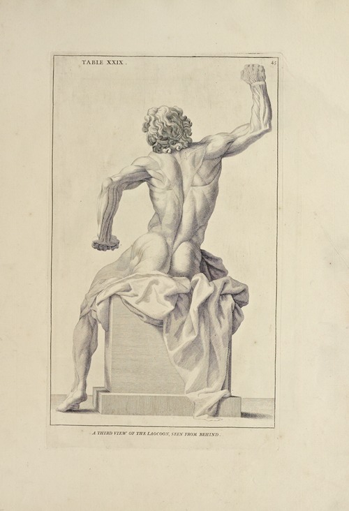 Anatomy improv’d and illustrated with regard to the uses thereof in designing Pl.29