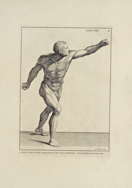 Anatomy improv’d and illustrated with regard to the uses thereof in designing Pl.30