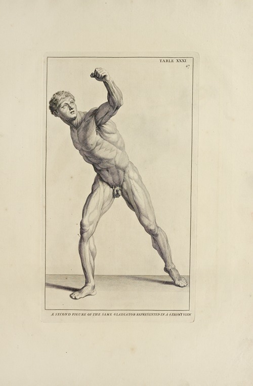 Anatomy improv’d and illustrated with regard to the uses thereof in designing Pl.31
