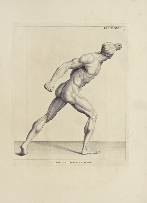 Anatomy improv’d and illustrated with regard to the uses thereof in designing Pl.32