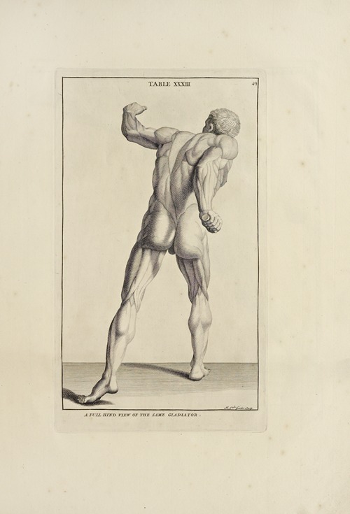 Anatomy improv’d and illustrated with regard to the uses thereof in designing Pl.33