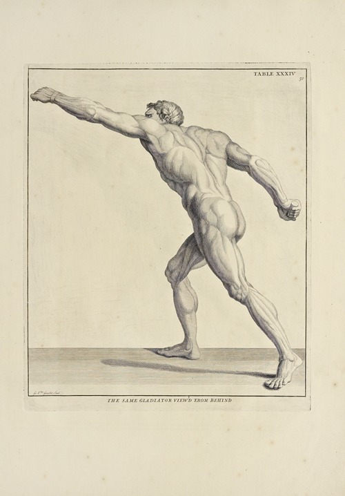 Anatomy improv’d and illustrated with regard to the uses thereof in designing Pl.34