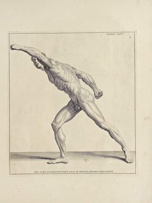 Anatomy improv’d and illustrated with regard to the uses thereof in designing Pl.35