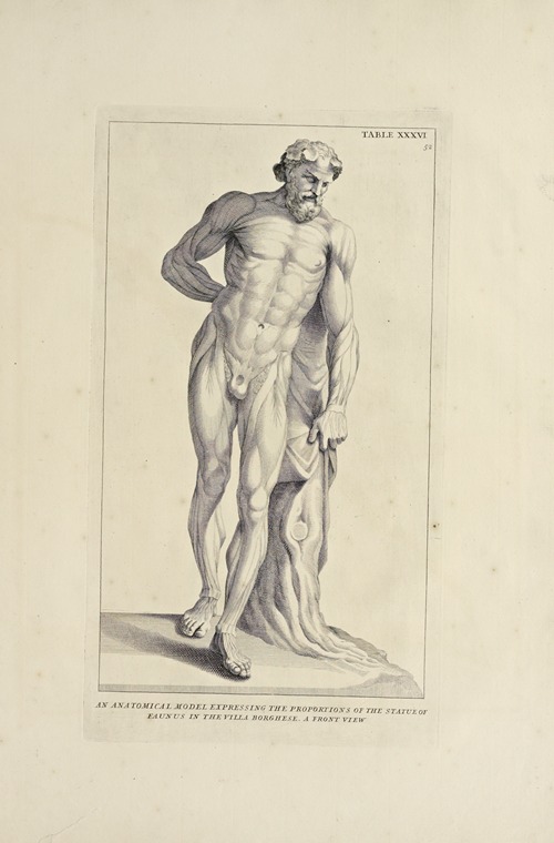 Anatomy improv’d and illustrated with regard to the uses thereof in designing Pl.36