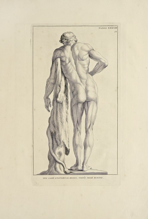 Anatomy improv’d and illustrated with regard to the uses thereof in designing Pl.38