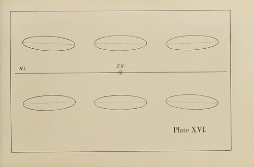 The principles of perspective as applied to model drawing & sketching from nature Pl.16