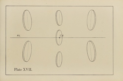 The principles of perspective as applied to model drawing & sketching from nature Pl.17