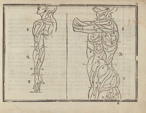 L’art de dessiner de Maistre Jean Cousin Pl.14