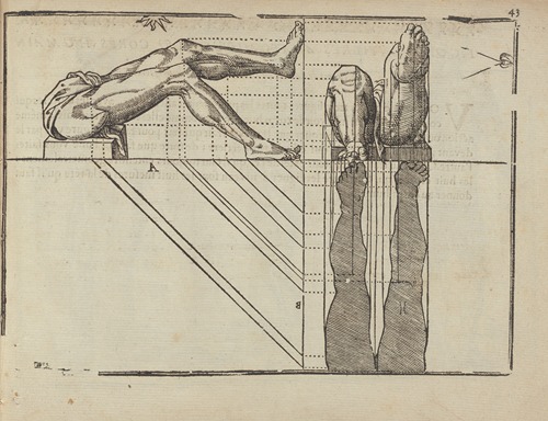 L’art de dessiner de Maistre Jean Cousin Pl.19