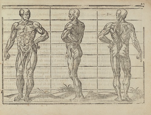 L’art de dessiner de Maistre Jean Cousin Pl.20