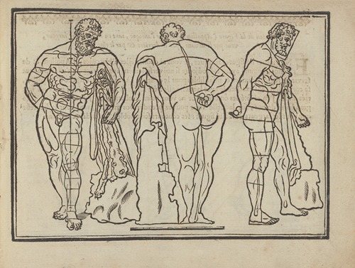 L’art de dessiner de Maistre Jean Cousin Pl.31