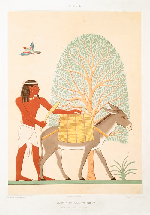 Peinture; indigène du pays de pount (Thèbes ; El-Assacif — XVIIe. dynastie)