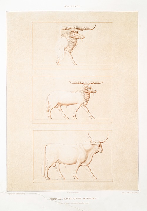 Sculpture; animaux — races ovine & bovine (Musée du Kaire — grandeur d’exécution)