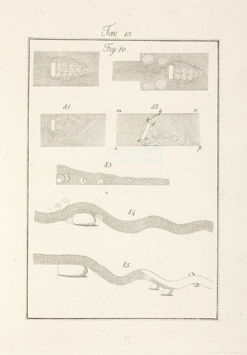 Tavola 15